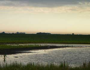 HOMEGROWN Life: A Love Letter to the Heartland Image